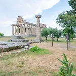 Steps From The パエストゥム